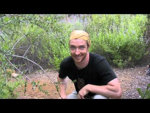 How to Poop in the Woods