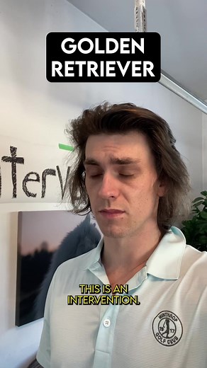 Jonny (@jauncydev) - Zoomies Intervention #dogbreeds #dogbreedsoftiktok #dogs #husky #zoomies