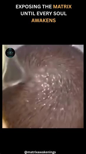 Matrix on Instagram: "They told you 1+1=2. They told you math was pure, absolute, unquestionable. But what if the equation you see isn’t just numbers, it’s a metaphor, and the simple truths you trust are hiding the deepest lies? Here’s what they don’t tell you: ✅ In their system, 1 + 1 doesn’t equal 2—it equals whatever they need it to. Your reality is built on manipulated math: inflation numbers fudged, election results “adjusted,” climate data cherry-picked, vaccine efficacy rounded up. The nu