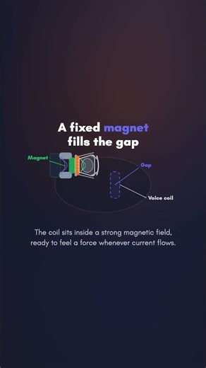 How a speaker works | WhyDaily