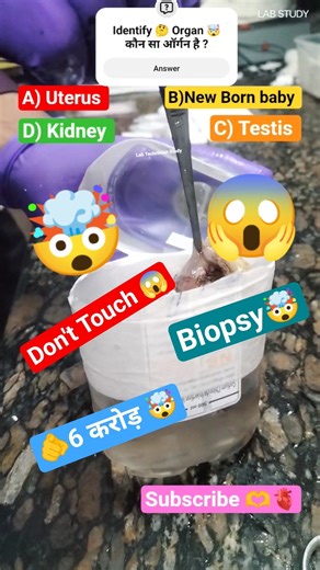 ANATOMY PHYSIOLOGY OF THIS ORGAN ? #lab #biopsy #shortvideo #biology #neet #quiz #viral #tranding