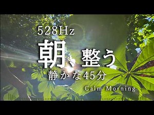 【528Hz】Calm Morning Reset | 45 min BGM for Relaxation & Focus | Morning Switch ON vol.21