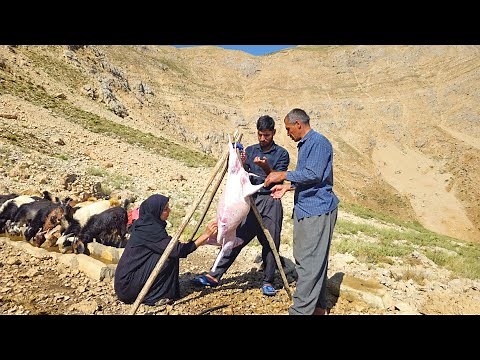 🔥🥘Muharram Special: Butchering and Meat Distribution Among the Nomads of the Zagros Mountains🔥🐑