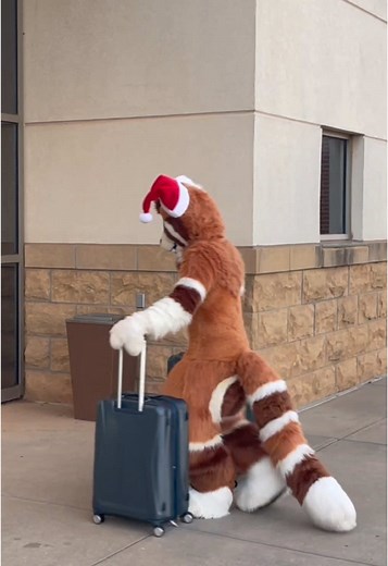 Exploring the Furry Fandom and Fursuit Culture