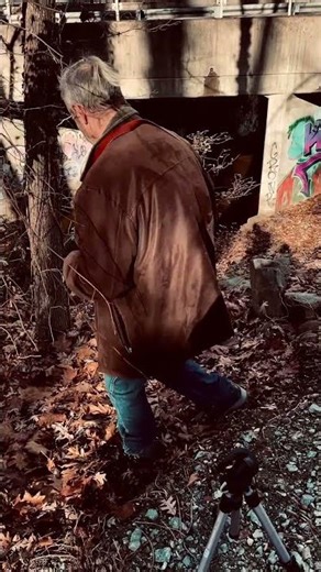 Welcome to “Cary” - The Howie and Queenny IT