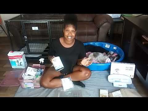 Affordable Whelping Kit & More