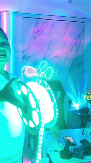 10/15/20/30M Cove Light led Ceiling SMD 5050 Living Room 220V Light led with remote RGB Covelight Decor Phone Tape APP Dimmable Outdoor Waterproof Flexible Lights