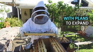 6.9K views · 67 reactions | LUKE'S HONEY BUSINESS IS BUZZING 16-year-old highschool student Luke de Laeter has used his passion for bees to create a thriving honey business, and now educates other school kids about the importance of bees to life on earth. | ABC Perth | Facebook