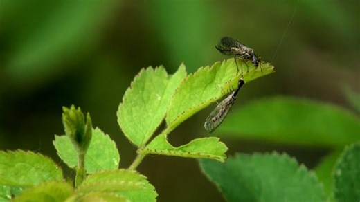 Couple, Lovers, Romantic, Love
