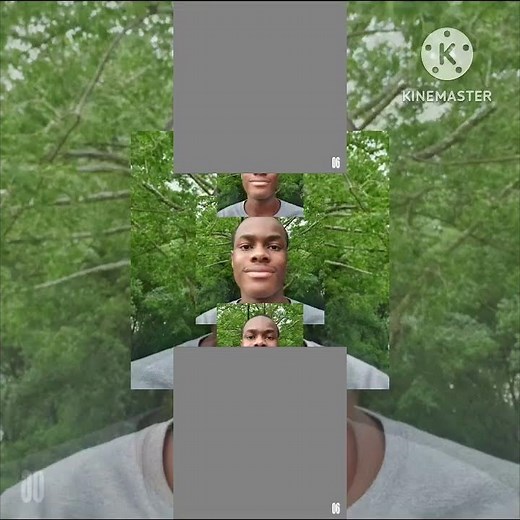 (REUPLOAD) (YTPMV)^2 Von Christie Scan^2