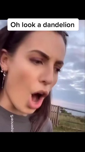 The Last Dandelion Meme Compilation