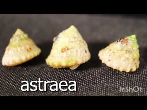 🏖️ Simulating a Beach for 30 Days 🌊 | Relax & Explore