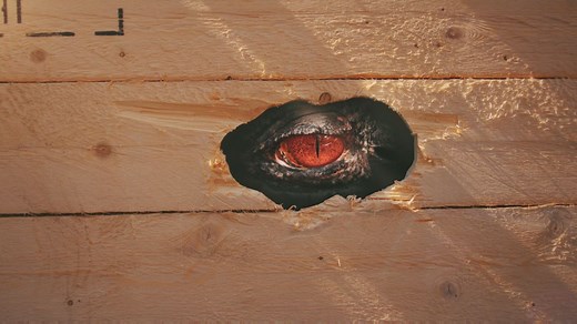 138K views · 2.1K reactions | They’re BIG, they’re FIERCE... and they’re BACK! 28 May - 4 September. www.chesterzoo.org/attractions-and-exhibits/dinosaurs | Chester Zoo | Facebook