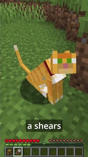 Your Pets Can Finally Carry Items in Minecraft