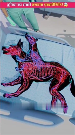 😱The world's most scary experiment! The world's most scary experiment! #shorts #shortsfeed #facts