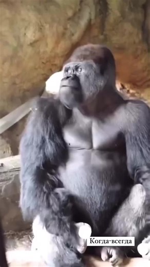 Відео користувача maglite (@maglite610) з композицією «оригинальный звук - maglite»