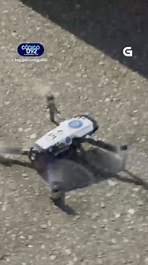 🚓 A Policía Local do Porriño intenta localizar un home en busca e captura por non presentarse a unha citación xudicial 👮🏽‍♀️ Conseguirán detelo? Non o perdas esta noite ás 23:00 e despois en tvg.gal/codigo092 | Televisión de Galicia