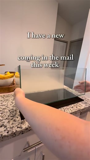 178K views · 15K reactions | New scape for my new boy! I’m loving the look of this one so much. I have a new stand coming in the mail this week but for now it will live in my kitchen  #bettafish #bettatok #fishtank #aquascape #aquascaping | Vmvbettas | Facebook