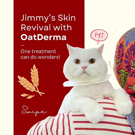 OatDerma: The Miracle Treatment for Cat Skin Issues