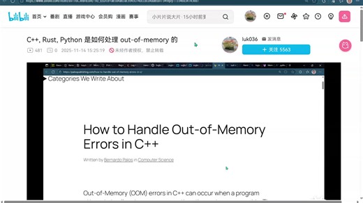 （补充）C  , Rust, Python 是如何处理 out-of-memory 的