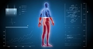 Man Full Body Scan Skelet Inside Stock Footage Video (100% Royalty-free) 1006690813 | Shutterstock