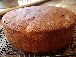 Caramel Apple Sponge Cake (with easy filling!). . . . how to