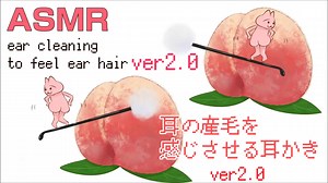 【kyoho ASMR】模拟刮耳毛(无人声)