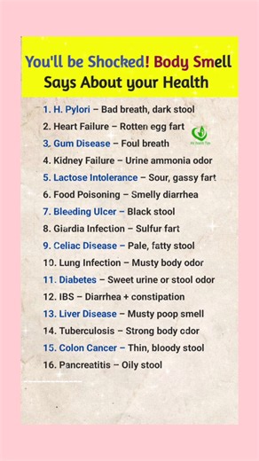. . . You'll be Shocked Body Smell Says About your Health #healthcare #health #ukreels #usareels #Trump #austria #newyork #true #canada #australia #uk #tiktok #newpost | My Health Tips