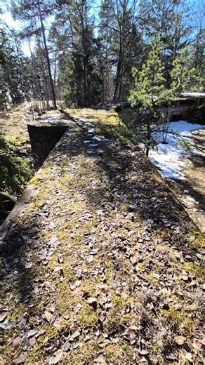 Skatanniemen tykkiasema, Uutela Helsinki #shorts