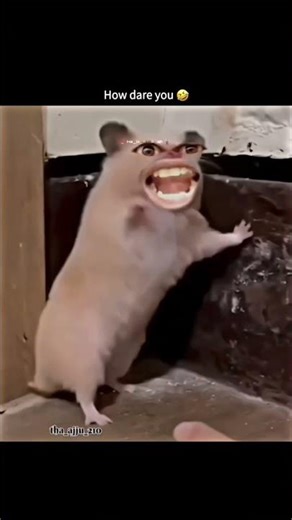 How dare you 🤣🤣 #trending #viral #dare