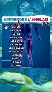 188K views · 7.2K reactions | Prennez 2 minutes pour vous améliorer en Anglais 﫶 #anglais #apprendrelanglais | Apprendre L'anglais | Facebook