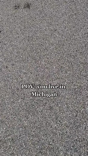 Exploring Meijer Stores Across Michigan