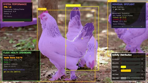AI-Powered Poultry Health Monitoring System with Computer Vision | Robert Agyekum Addo posted on the topic | LinkedIn
