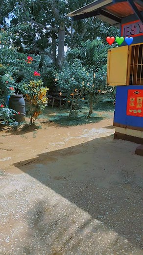 my bro season done my time now😆😆😆#trending #everyone #fpyツ #vvitchtok #timingchain 250cc timing chain missile @Chamar@ @dessywilliams1 @One edition play 💯💯🏍️ @jay maxwell @waney g