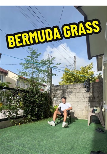 Bermuda Grass: The Perfect Solution for Home Decor