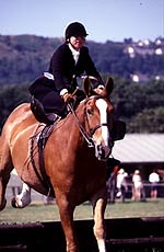 Q&A: Finding a side-saddle - Horse & Hound