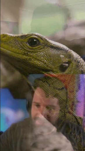 This is why Destiny doesn't talk to Haz anymore.