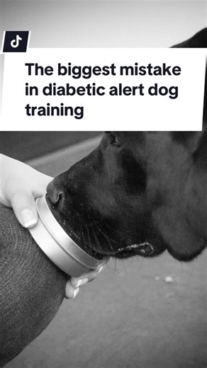 The biggest misconception about diabetic alert dog training is that dogs just naturally know how to alert. They don’t. Alert dogs are taught a very specific skill through structured training. When people skip steps, dogs guess. Guessing leads to missed alerts. If your dog is inconsistent, it’s not because they don’t care. It’s because the picture isn’t clear. In the next video I’ll explain what has to be solid before scent is ever introduced.