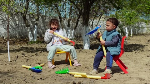 Pan-Fried Chicken Legs Packed with Flavor