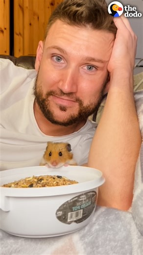 Dad gets his daughter a hamster who eventually becomes his BFF ❤️ | The Dodo