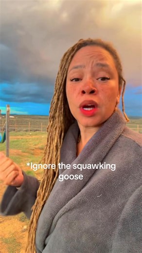 When things get bad, waiting around isn’t a plan 🚫. Having camping gear 🏕️, knowing a farm you can go to 🚜, or heading deep into the national forest 🌲 can mean the difference between panic and peace. Preparedness isn’t just about food storage — it’s about having OPTIONS 🔑. 📘 The Personal Prepping & Survival Planner shows you step-by-step how to be ready when it’s time to move. Comment BOOK to get yours today. #zanisunshine #offgridhomesteadfam | Offgrid Homestead Fam