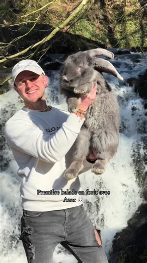 Des balades, du soleil, un lapin heureux 🐰☀️🤍 #bunny #rabbits #pet #fyp