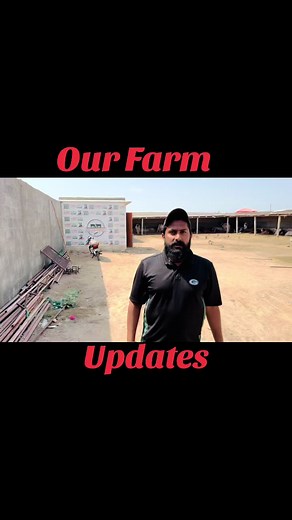 Our Farm Updates #cattlefarming #karachi