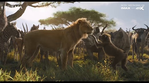 Witness how a cub becomes a king 👑 in Disney’s #MufasaPH: The Lion King. Back in cinemas nationwide. Get tickets: https://disney.asia/8ftJdH. | Walt Disney Studios