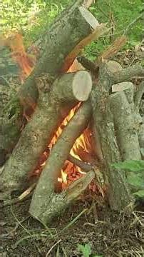Cozy Campfire in the Forest 🌲 Fire Sounds, Leaves & Birds for Relax