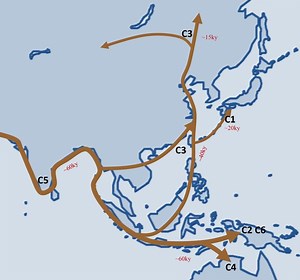 Haplogroup C M130 - Alchetron, The Free Social Encyclopedia