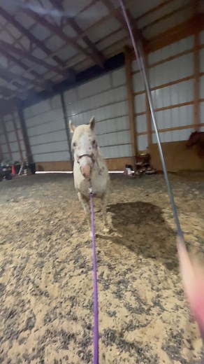 Amanda Smith on Reels