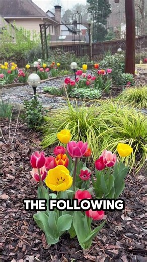 The best thing you can plant this fall that anyone can grow | Atlanta Gardener | Zone 8A