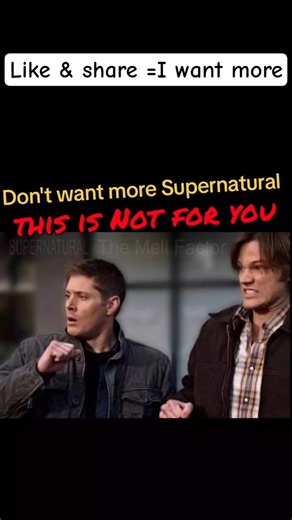 Supernatural season 16, on the edge of forever. Supernatural return possible for original cast 💯