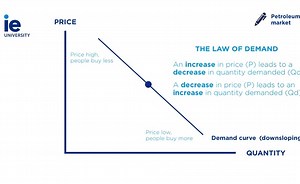 The Demand Curve